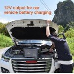 Sungzu 1500W Portable Lithium-ion Backup Battery AC and DC Output New Free Shipping Wholesale Prices